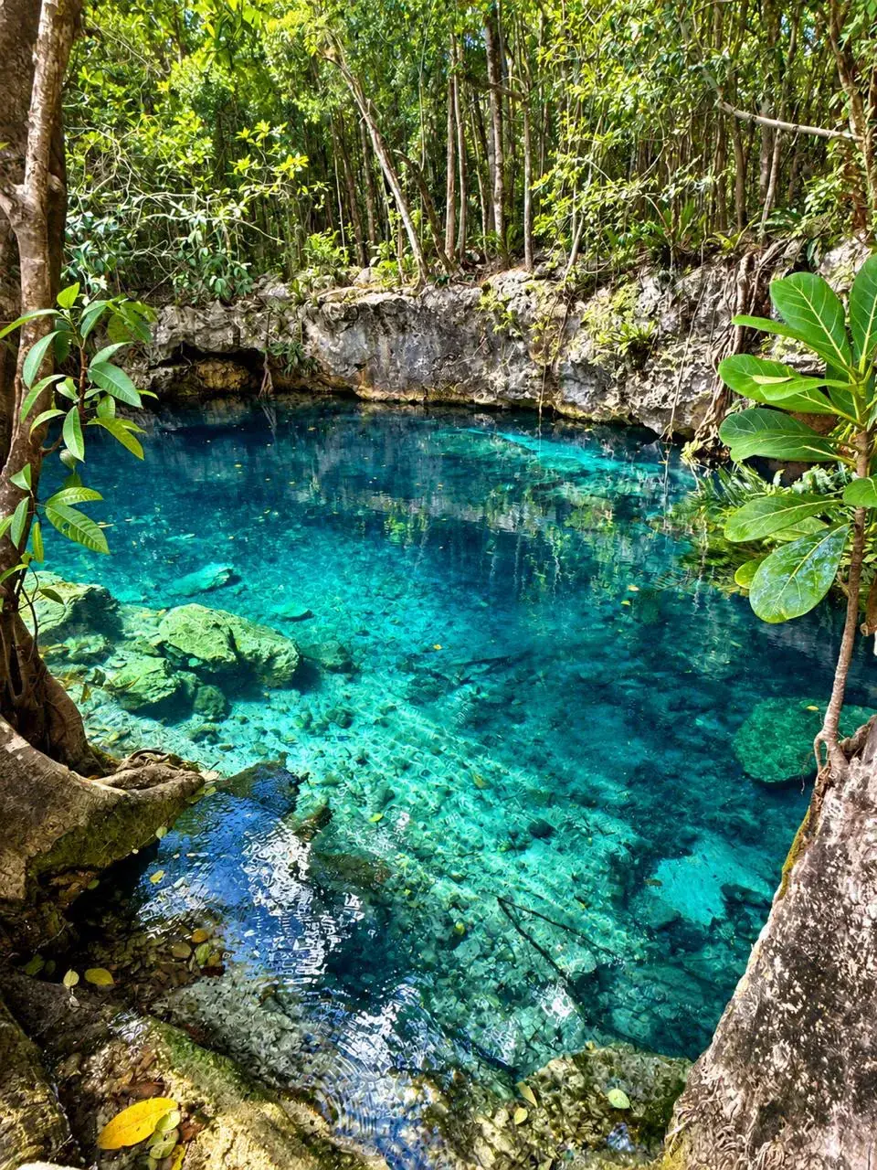 LUUM cenote