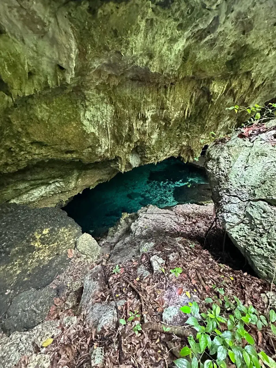 LUUM cenote