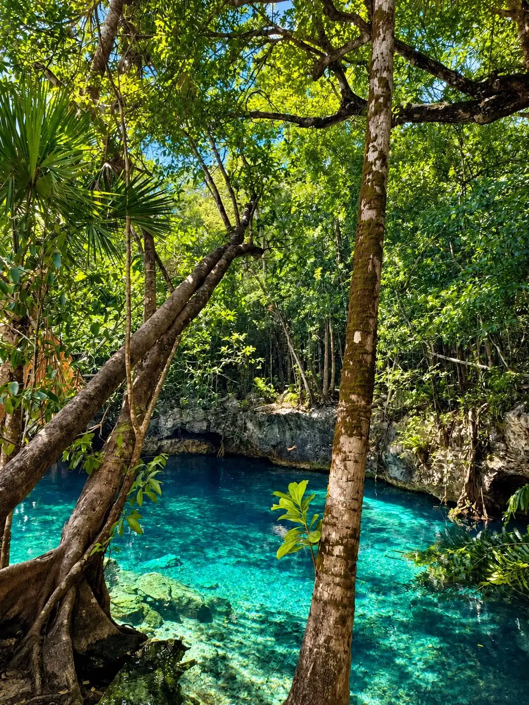 LUUM cenote