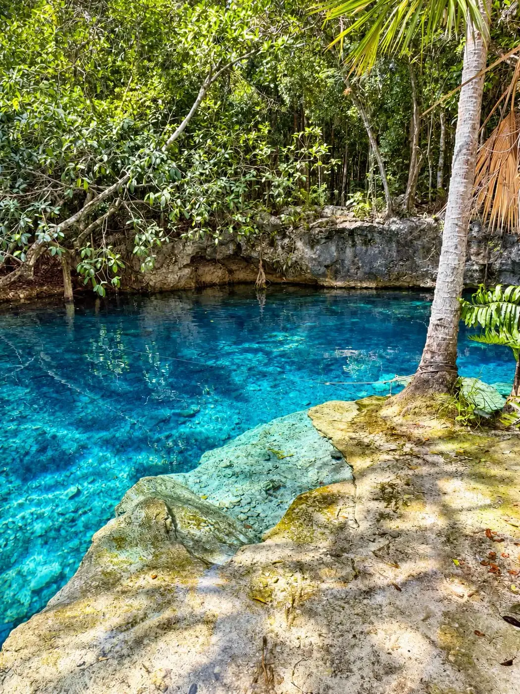 LUUM cenote