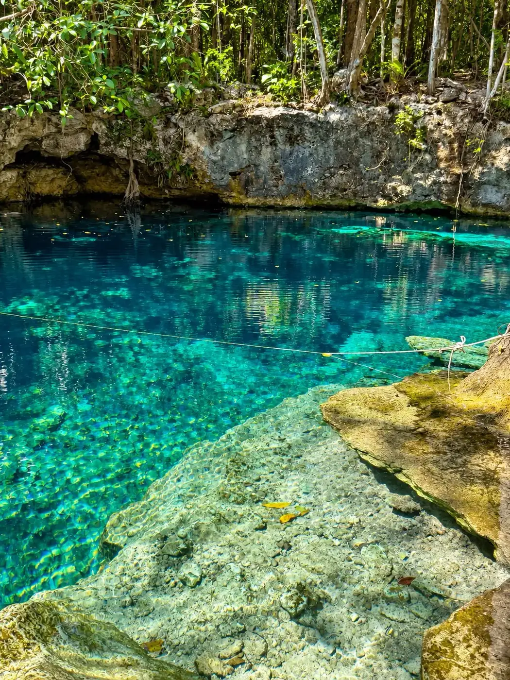LUUM cenote