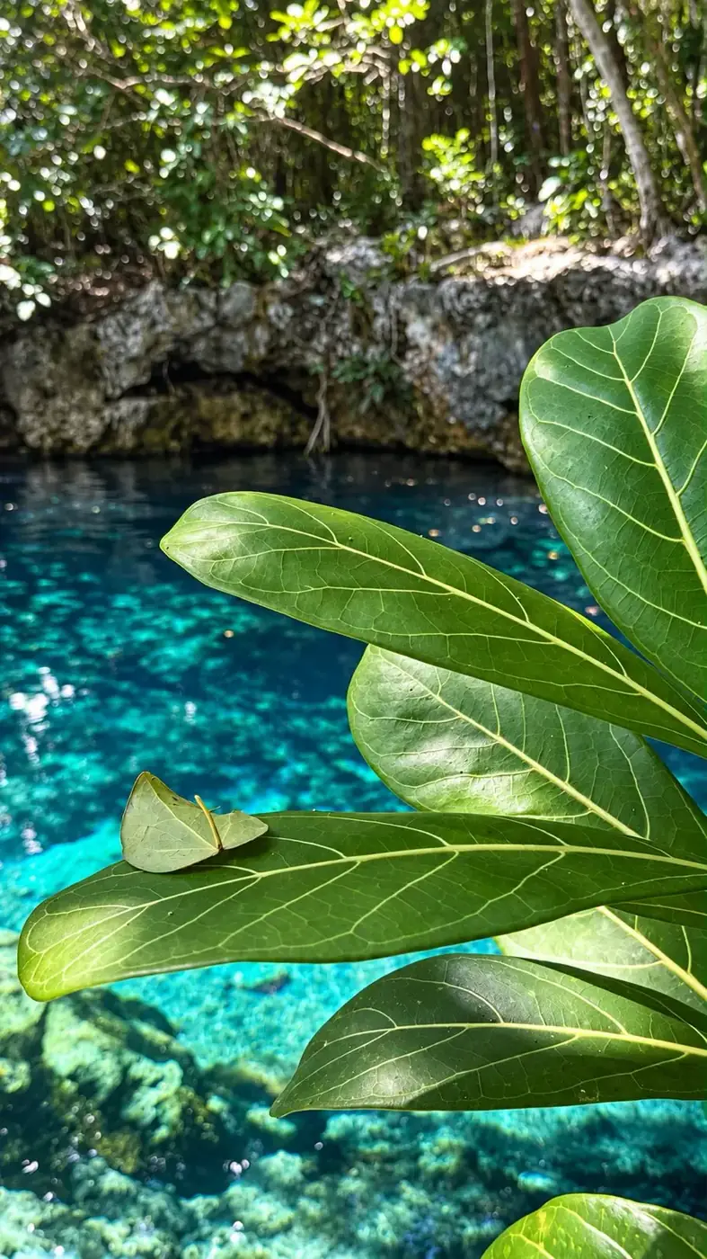 LUUM cenote